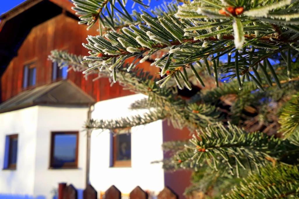 "Stone'S Throw" Krumlov 5 Min By Car, Lipno 15 Min By Car, 2 Bdrooms,Playroom Kájov Екстериор снимка